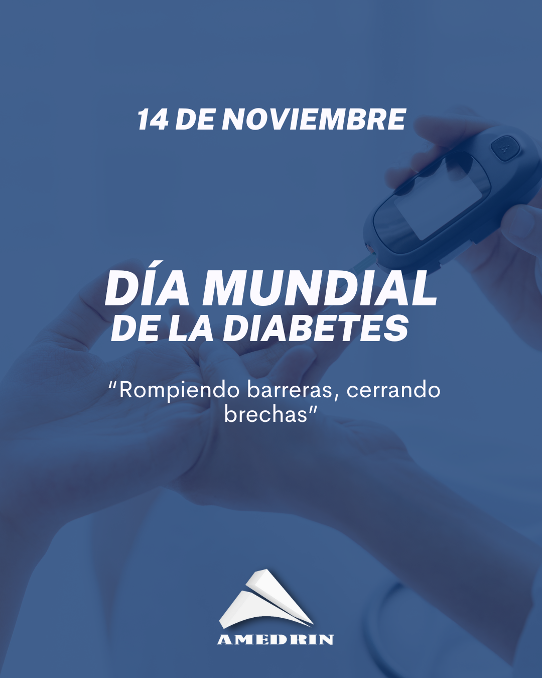 Dia Mundial de la Diabetes